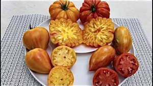 Томаты в открытом грунте. Мордовская красавица, Сердце зебры абрикосовое, Безумие Касади и другие.