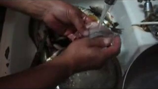 Разделываем рыбу -Сорожка
