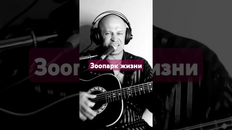 Топыркин - "Зоопарк жизни" #гитара #топ #топыркин