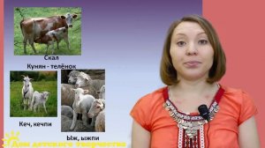 Удмурт Кыл, урок Удмуртского  языка - Существительное