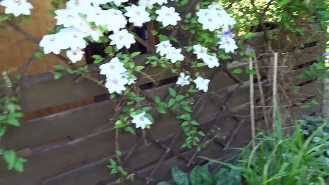 Ура! Суббота и мы на даче! Отдыхаем? смотреть онлайн