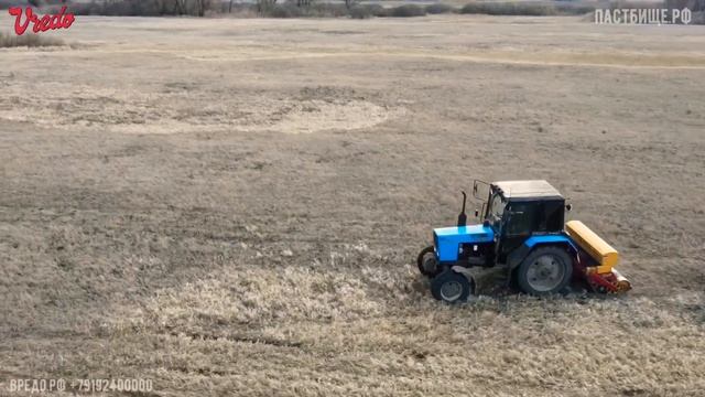 Подсев на заливных лугах Vredo - пастбище