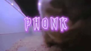 чипи чипи чапа чапа PHONK версия