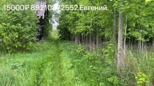Абиссинская скважина в Котласе. Деревня Вешкурье, две скважины с дебетом 1,3 тонны в час на старте.