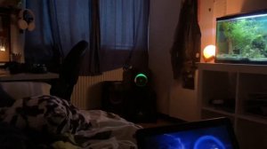 JBL PARTYBOX ENCORE BASS TEST IN JBLFIRES ROOM