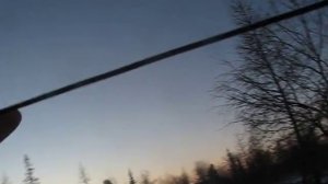 Содержание лаек на цепях по тросам