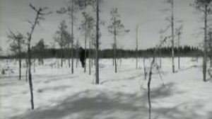 CATAMENIA - Location Cold