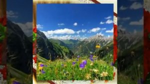 Лезгинские стихи - Лезги шиирар Автор: Назила