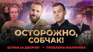 Осторожно, Собчак! Штраф за помощь дворнягам, финансы и романсы Малинина | «Вечерний Абзац»