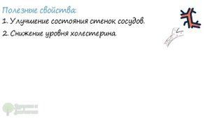 Ложка этого масла творит творит чудеса! Чистка сосудов, кишечника и даже…