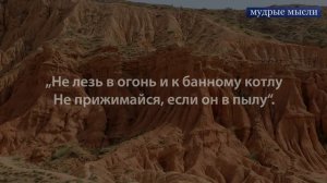 Авиценна. Золотые слова. 20 рецептов Авиценны