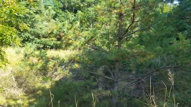 ГСВГ. Пожарный водоем? на Ютербогском полигоне 6.09.2021 смотреть онлайн