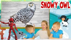 ARCTIC ANIMALS - WHAT IS THiS ANIMAL, SNOW ANIMAL, POLAR ANIMAL, ARCTIC ANIMAL? №2❤️ANIMALS FOR KID