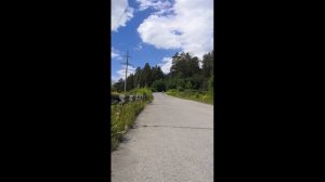 Бультерьер и спорт!