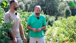 В ГОСТЯХ У ДМИТРИЕВА САДА. Раскрываю все секреты садово-огородного мастерства Дмитрия Кастрицкого!