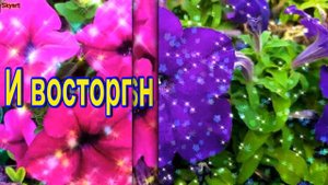 Поздравление с 72-летием! Новинка! Прекрасное видео поздравление! СУПЕР ПОЗДРАВЛЕНИЕ!