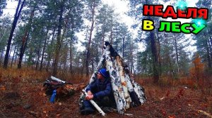 Выживание в лесу без нечего! Потерялся в Тайге. Выживание в лесу зимой. Волкмикс.