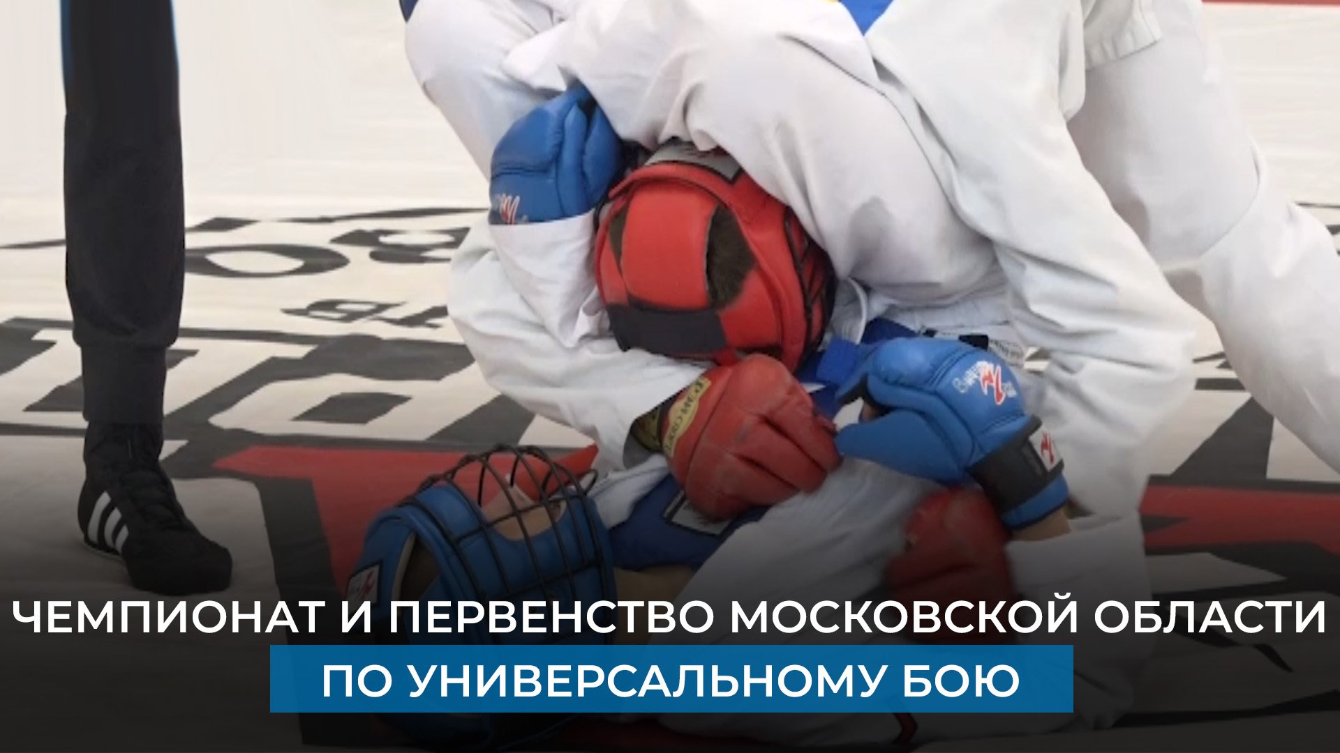 Чемпионат и Первенство Московской области по универсальному бою смотреть онлайн
