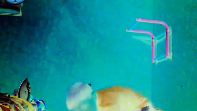 Как сделать сальто вперед в домашних свойствах смотреть онлайн