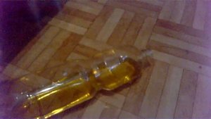 Как избавиться от мышей в частном доме навсегда