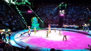 Circus Russian in  Moscow «Эпицентр Мира» 07.07.2018