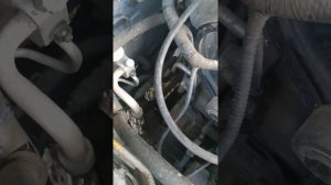 Акцент шум под капотом