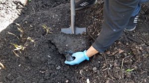 Плодородная почва живая Плодородие живой почвы Как сделать