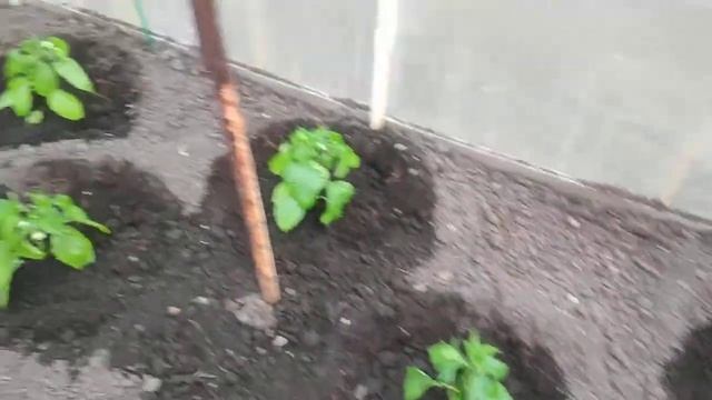 17.05.2019 дача. смотреть онлайн