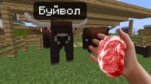 Завел буйволов на ферме!