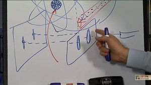 Гипотеза Пуанкаре , которую доказал Перельман.  Спрошу у Султана