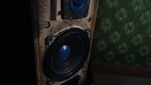 Реставрация колонок вега 35 ас (часть 2)