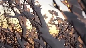 будет всё хорошо