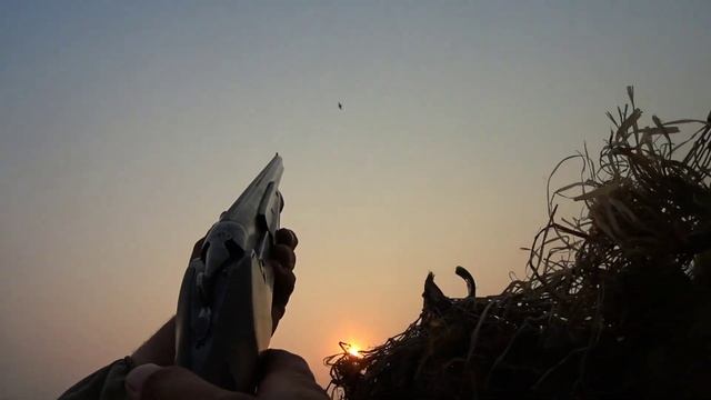 весенняя охота на селезня 2023. утренняя зорька удалась. чирки носятся как сумасшедшие. смотреть онлайн