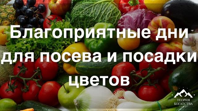 ПОСЕВНОЙ ЛУННЫЙ КАЛЕНДАРЬ САДОВОДА И ОГОРОДНИКА НА МАЙ 2021 ГОДА