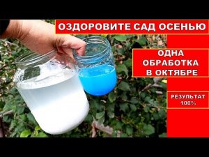 ОПРЫСКАЙ САД ПЕРЕД ЗИМОЙ, БОЛЕЗНЕЙ И ВРЕДИТЕЛЕй НЕ БУДЕТ! Истребляющая Обработка сада осень