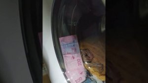 Постирала деньги в стиральной машине.