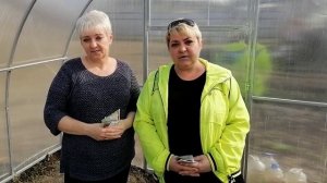 Подготовка теплицы! КАК и ЧЕМ обработать теплицу весной!