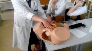 Приёмы Леопольда