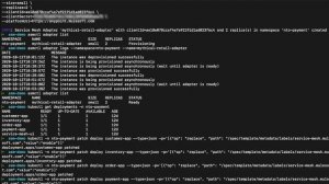 Anypoint Service Mesh: Install and Configure Demonstration | Friends of Max
