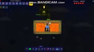 Любой босс без потери хп, мега баг в террарии