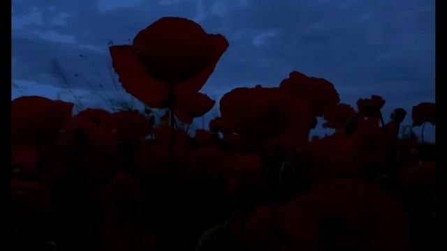 Николай Гумилев Ночь
Музыка и исполнение Владимир Черняев