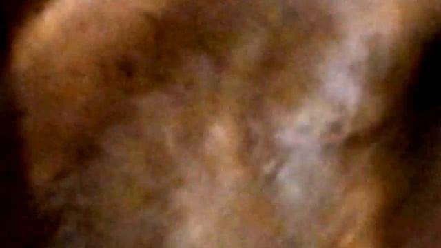 Шоколадный пудинг смотреть онлайн