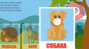 Загадки про животных - для детей!