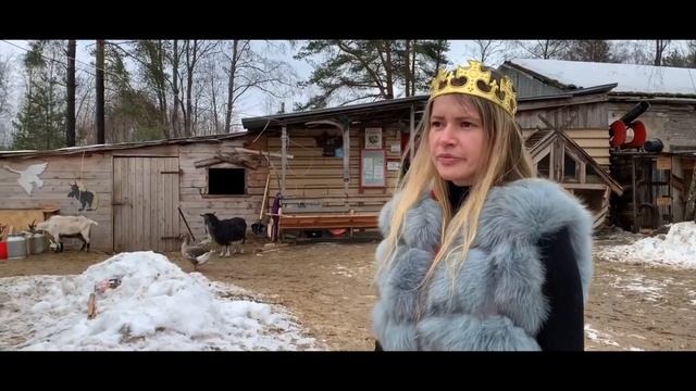 Квест Поиск сокровищ смотреть онлайн