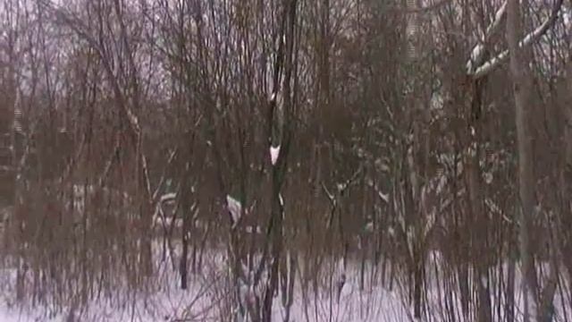 В парке смотреть онлайн