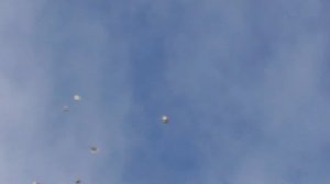 ГОЛУБИ ЮРЫ ЧАСОВЩИКА 03.112019г.