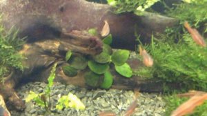 Jebo r362,100L,13 месяцев. Работа фильтра !!!