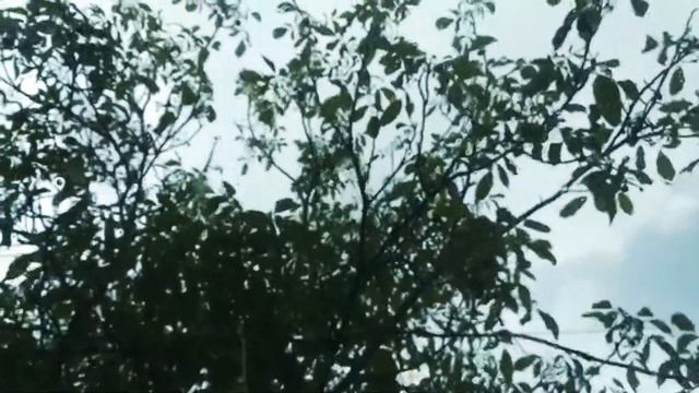 25. Один Одесский день за несколько минут (воскресенье 26 мая) смотреть онлайн