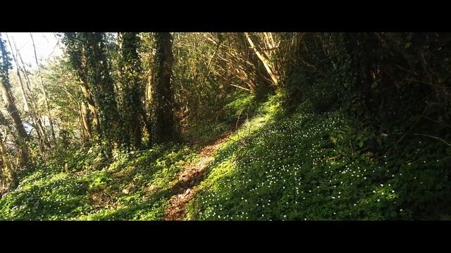 Cavan Spring (Ireland) смотреть онлайн