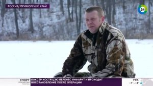 «Боимся выходить»: в Приморье нашествие амурских тигров
Амурские тигры выходят в населенные пункты